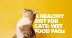 Best Wet Cat Food FAQ