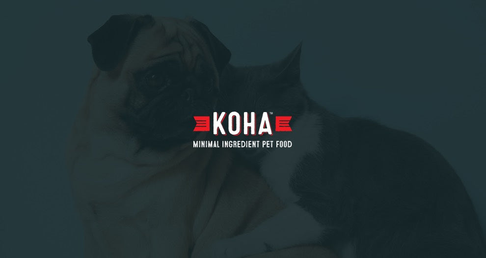 Koha kangaroo shop cat food