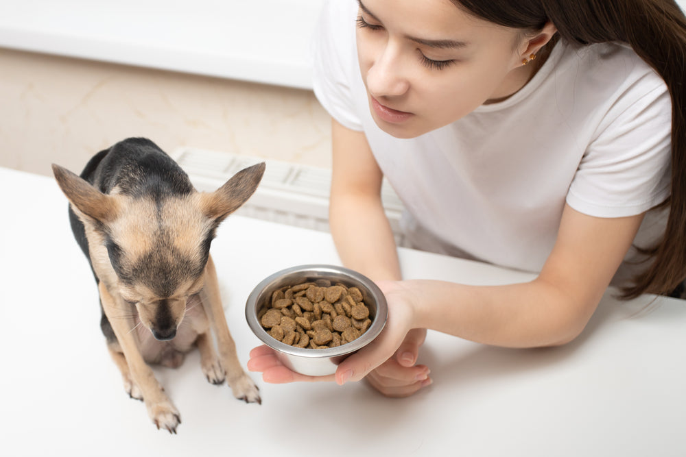 This is Why Your Picky Cat or Dog Won t Eat KOHA Pet