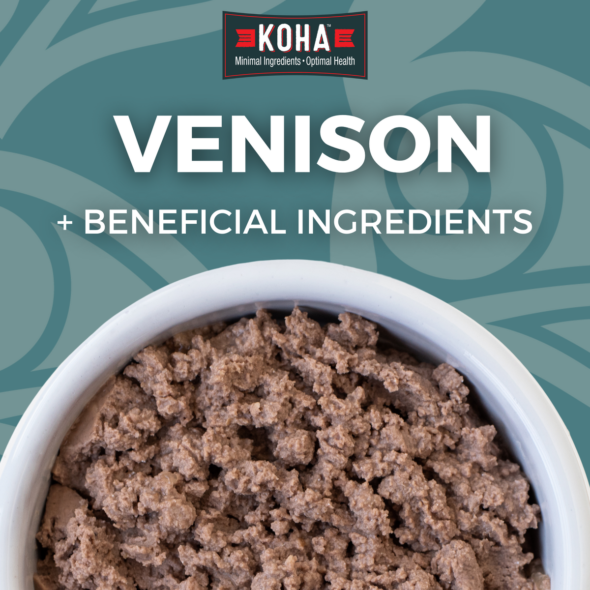 Venison Cat Food: Limited Ingredient Diet Venison Entre for Cats
