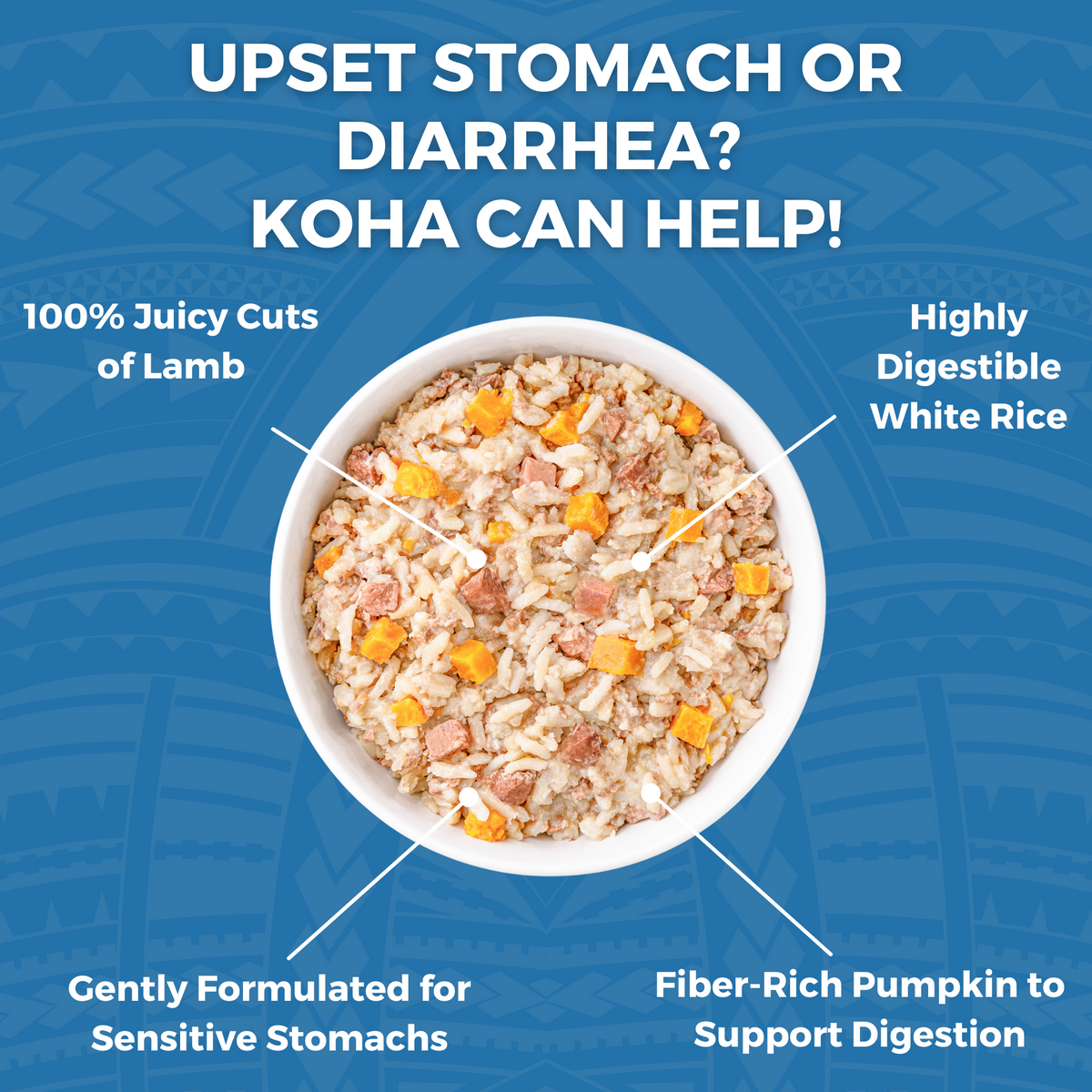 Stomach Is Rice Good For Diarrhea In Dogs Upset Stomach Boiled