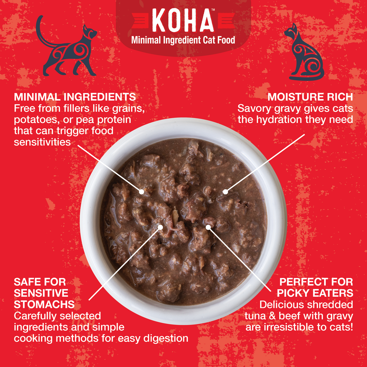 Homemade cat gravy recipe online