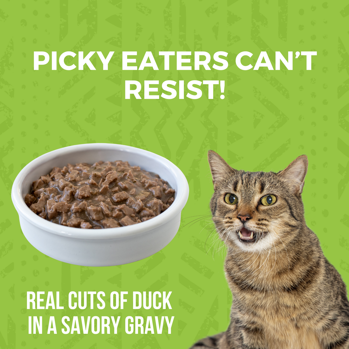 Food for picky cats best sale