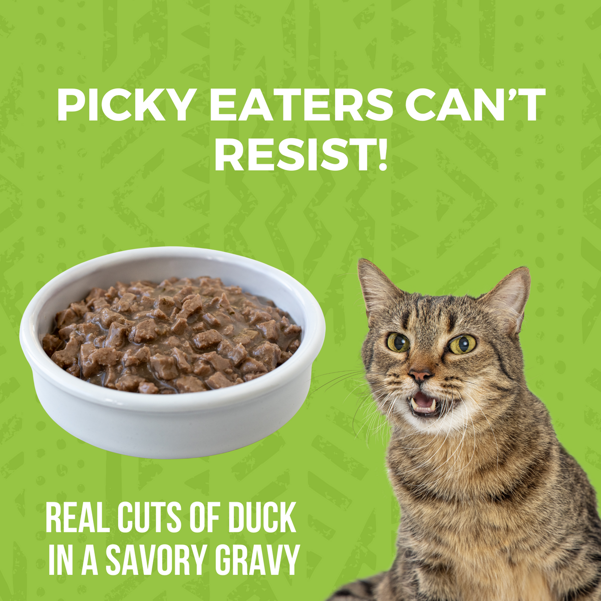 Duck cat food online