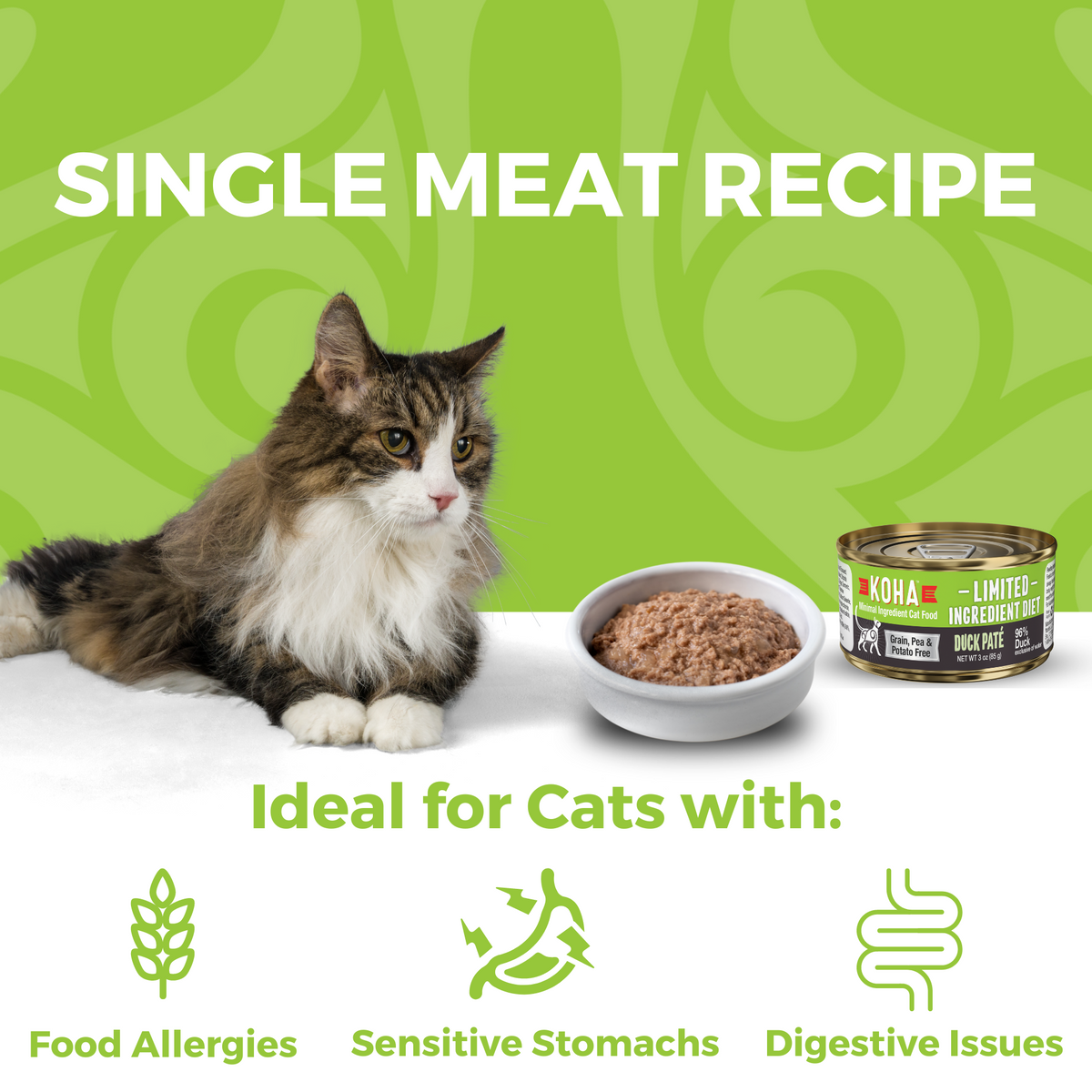 Best limited ingredient top wet cat food