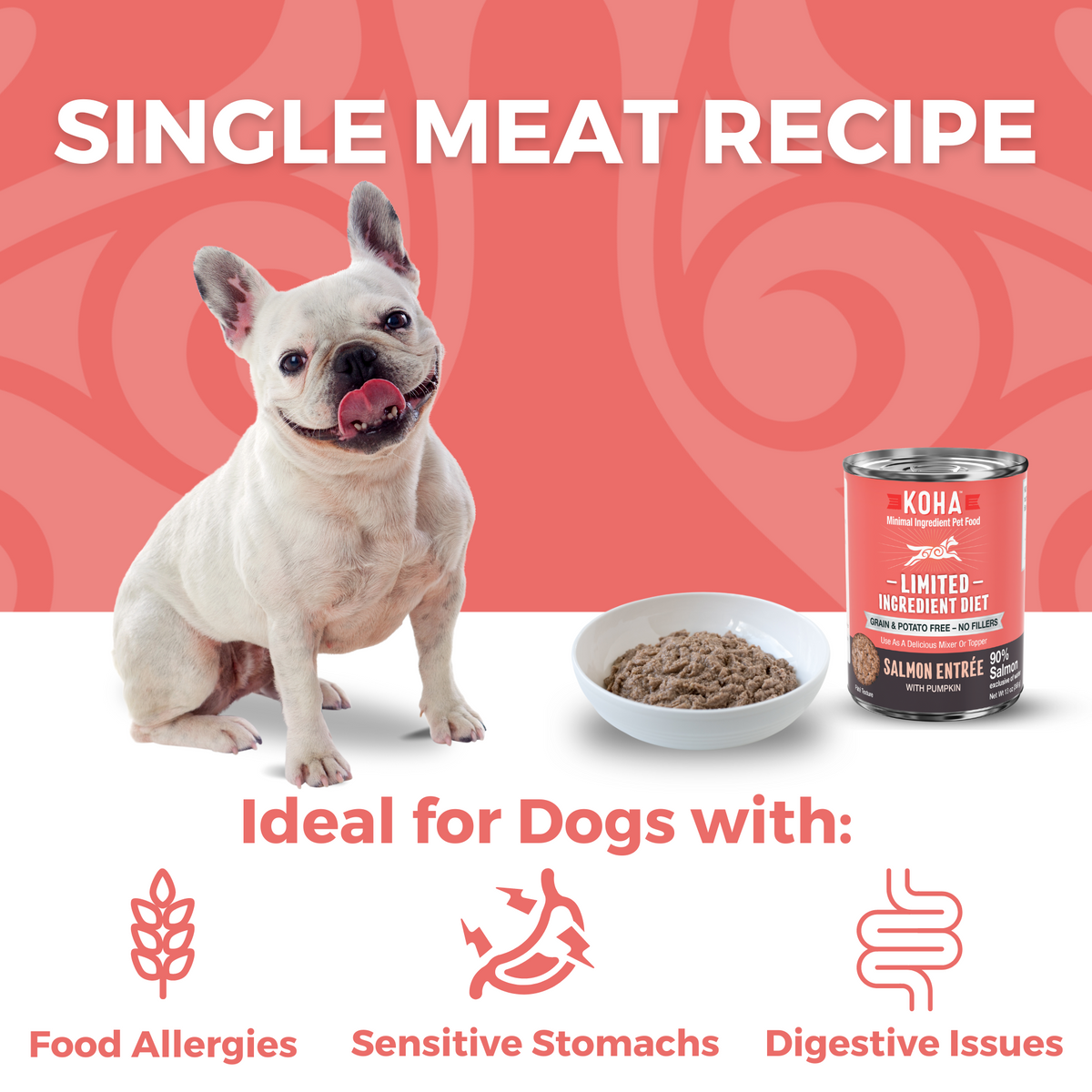 Limited ingredient dog food for allergies hotsell