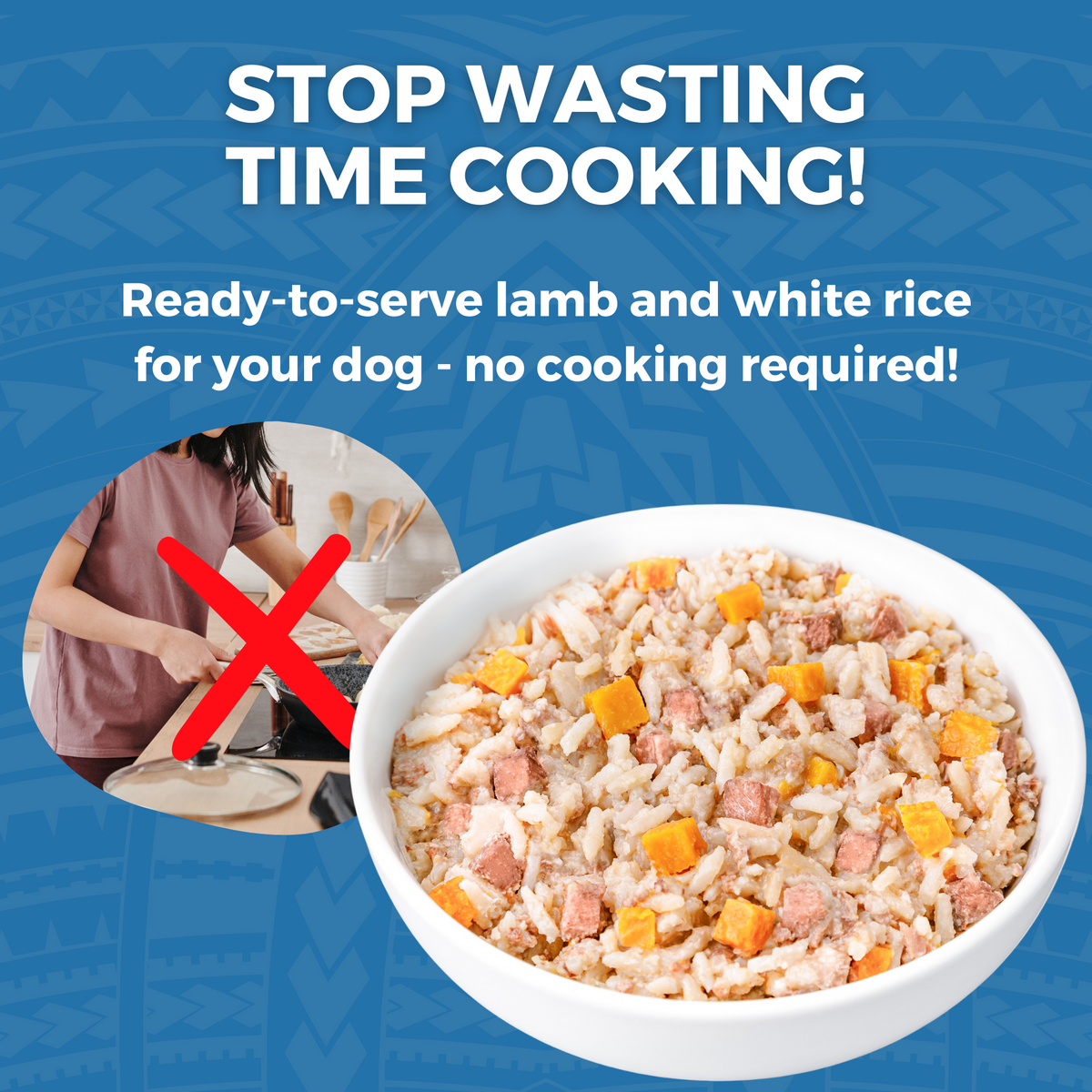 Bland Diet Puppy Food Causing Diarrhea Bland Diet For Puppies With