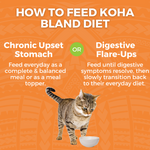 Limited Ingredient Bland Diet Wet Food Chicken & Rice Recipe for Cats