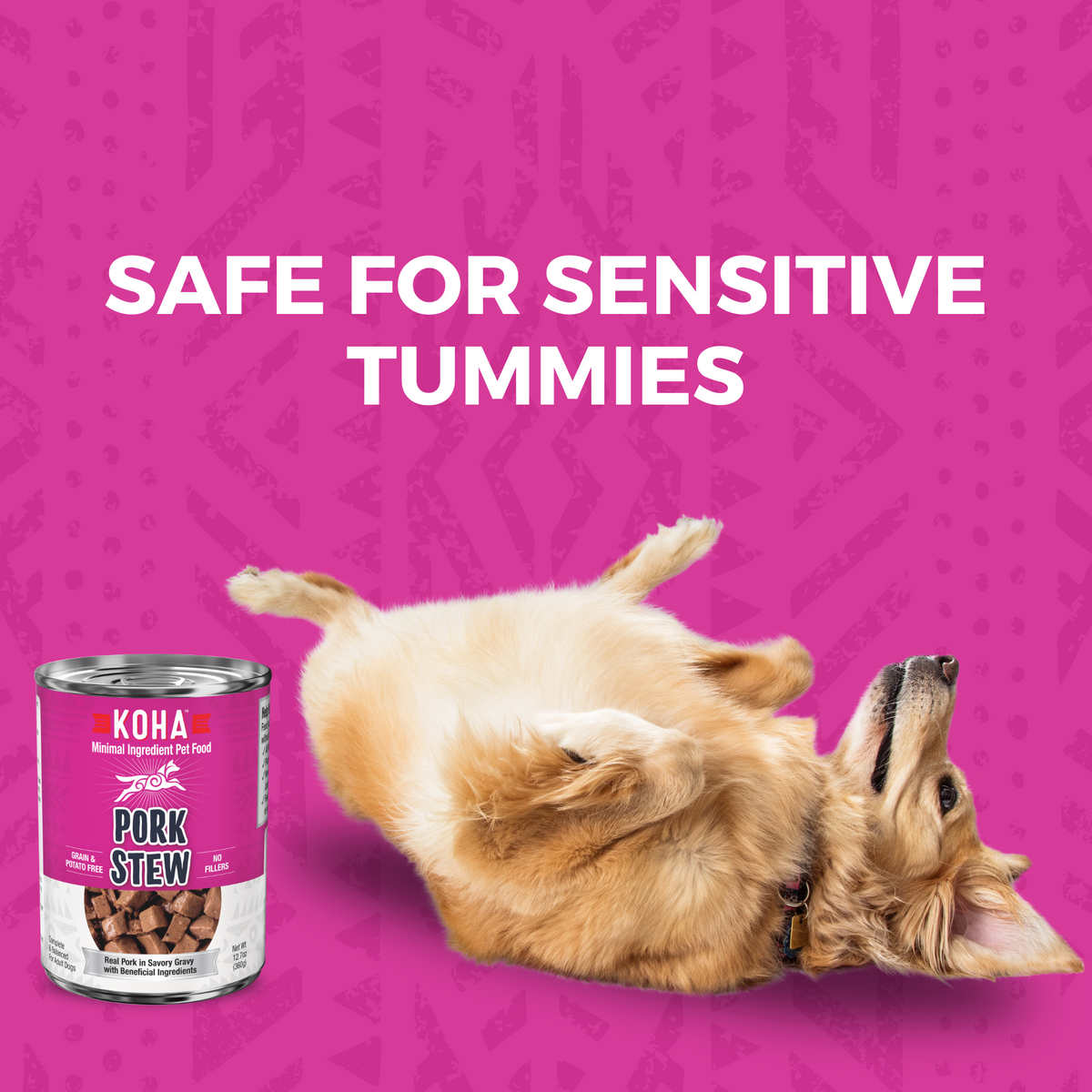 Why is wet food shops bad for dogs