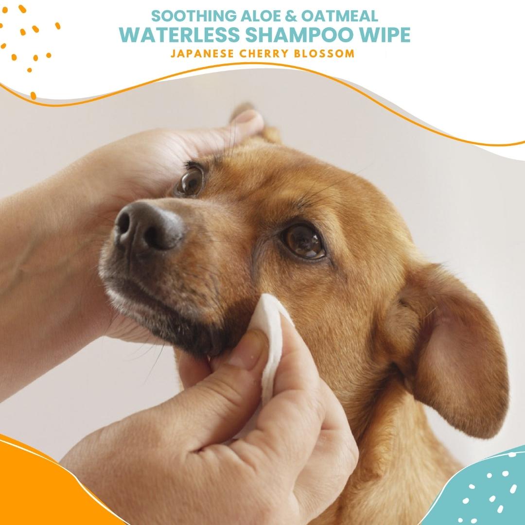 No More Baths! Jumbo Cleansing Towels for Pets –