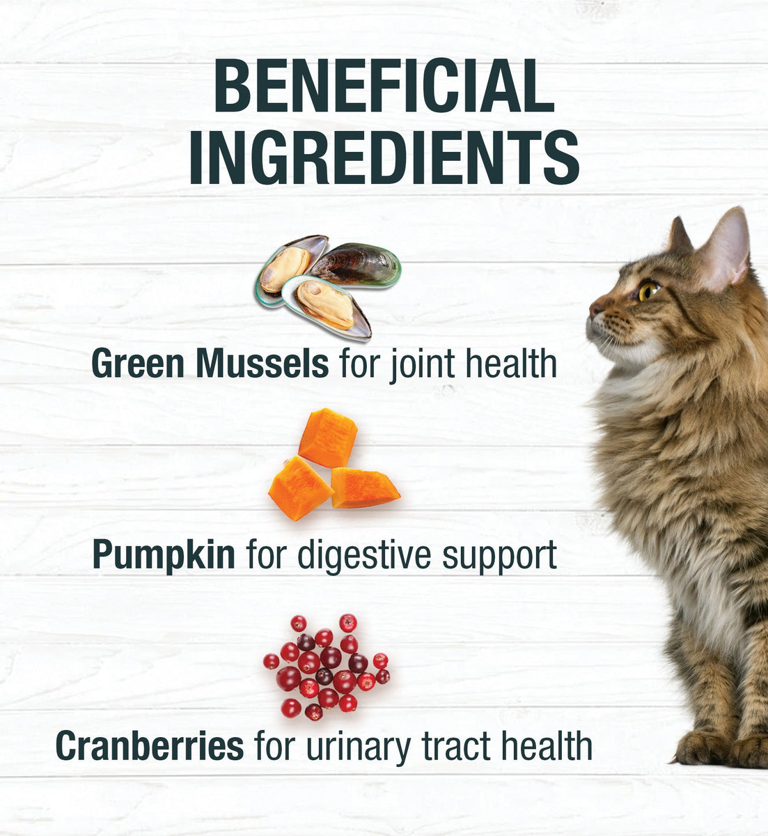 Cat food shop for joint health