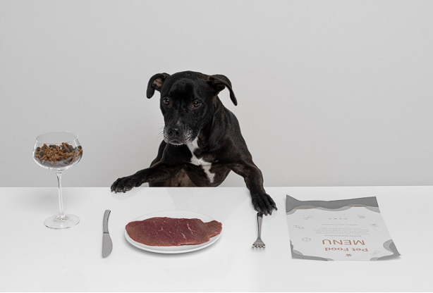 9+ Best Venison Dog Food & Benefits [2024] – KOHA Pet - Grain Free Venison Dog Food Calorie Content