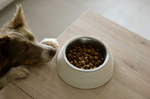 Homemade Dog Food: What it is & How to Make it [2025 Guide]