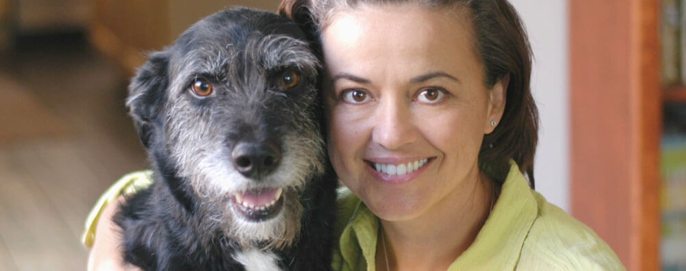 Why Wet Food Is Best For Cats & Dogs