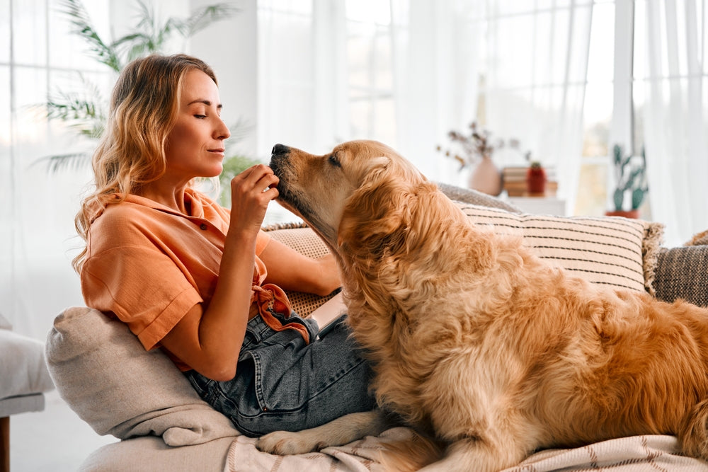18+ Healthy Dog Treats [2025]