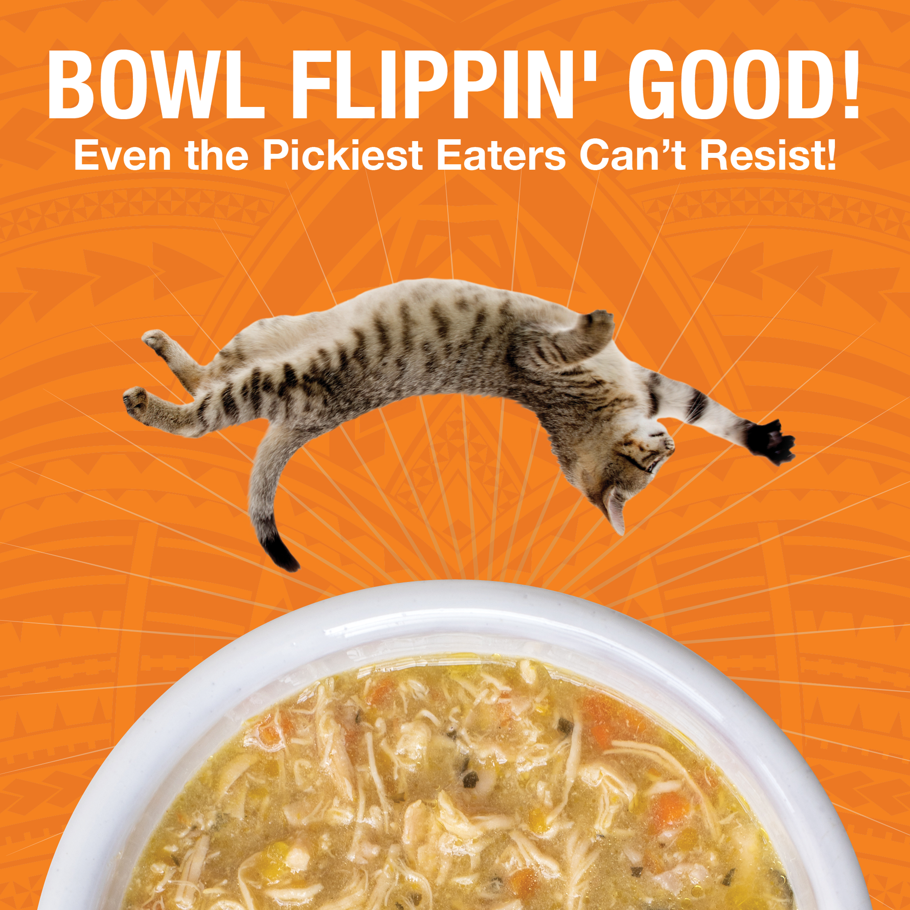 An image of a dog flipping over a bowl of KOHA PUre Shreds food in a white bowl with the headling Bowl Flippin' Good Even the pickest eaters can't resist. 