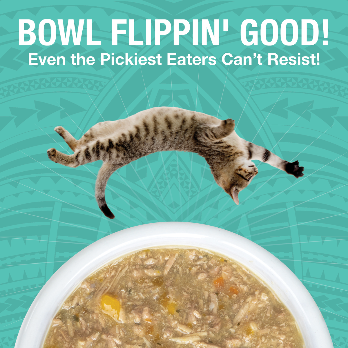 An image of a dog flipping over a bowl of KOHA PUre Shreds food in a white bowl with the headling Bowl Flippin' Good Even the pickest eaters can't resist. 