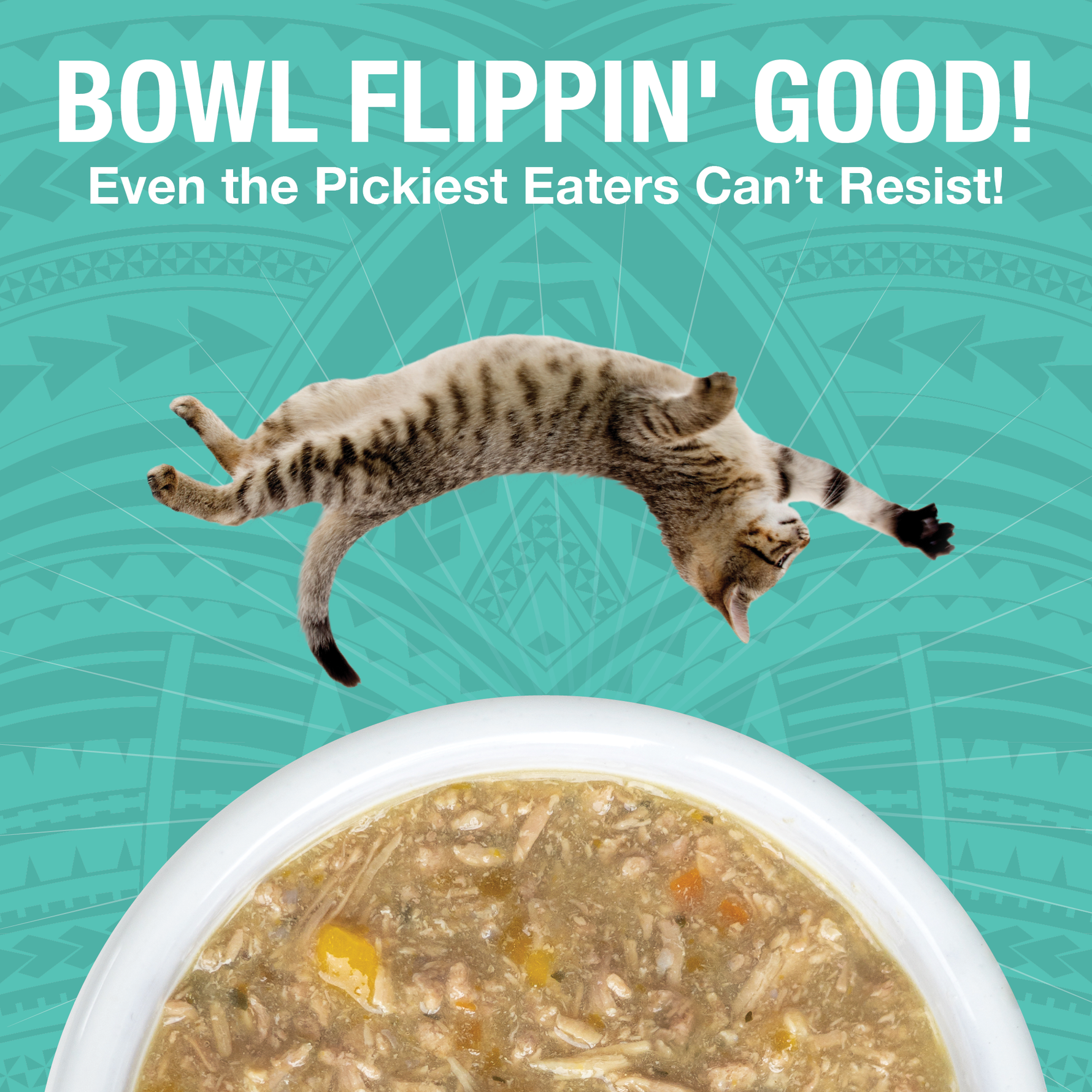 An image of a dog flipping over a bowl of KOHA PUre Shreds food in a white bowl with the headling Bowl Flippin' Good Even the pickest eaters can't resist. 