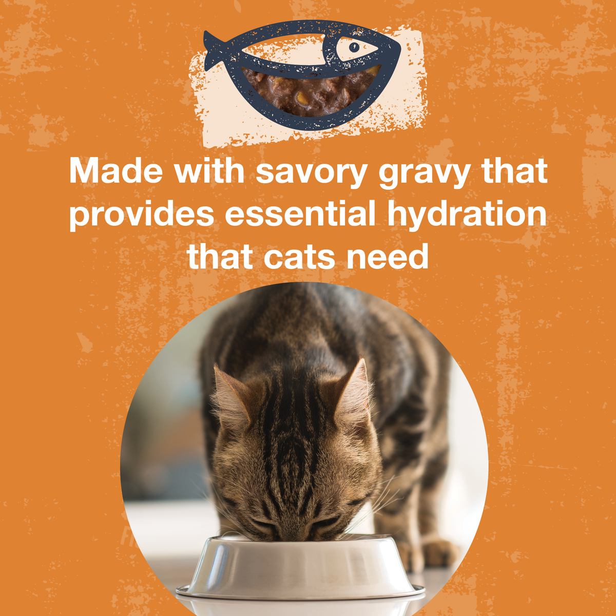 An image of a cat eating from a bowl with text that says Made with savory gravy that provides essential hydration that cats need. 