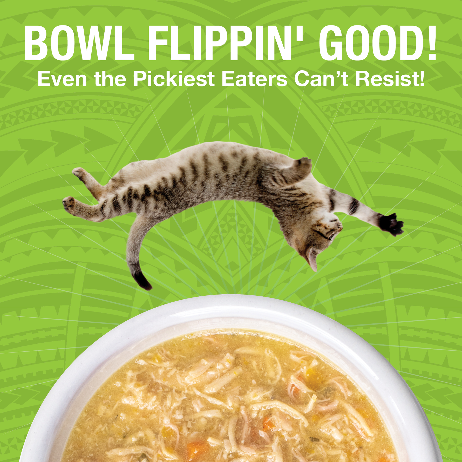 An image of a dog flipping over a bowl of KOHA PUre Shreds food in a white bowl with the headling Bowl Flippin' Good Even the pickest eaters can't resist. 