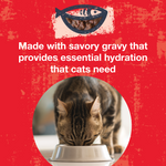 An image of a cat eating from a bowl with text that says Made with savory gravy that provides essential hydration that cats need. 