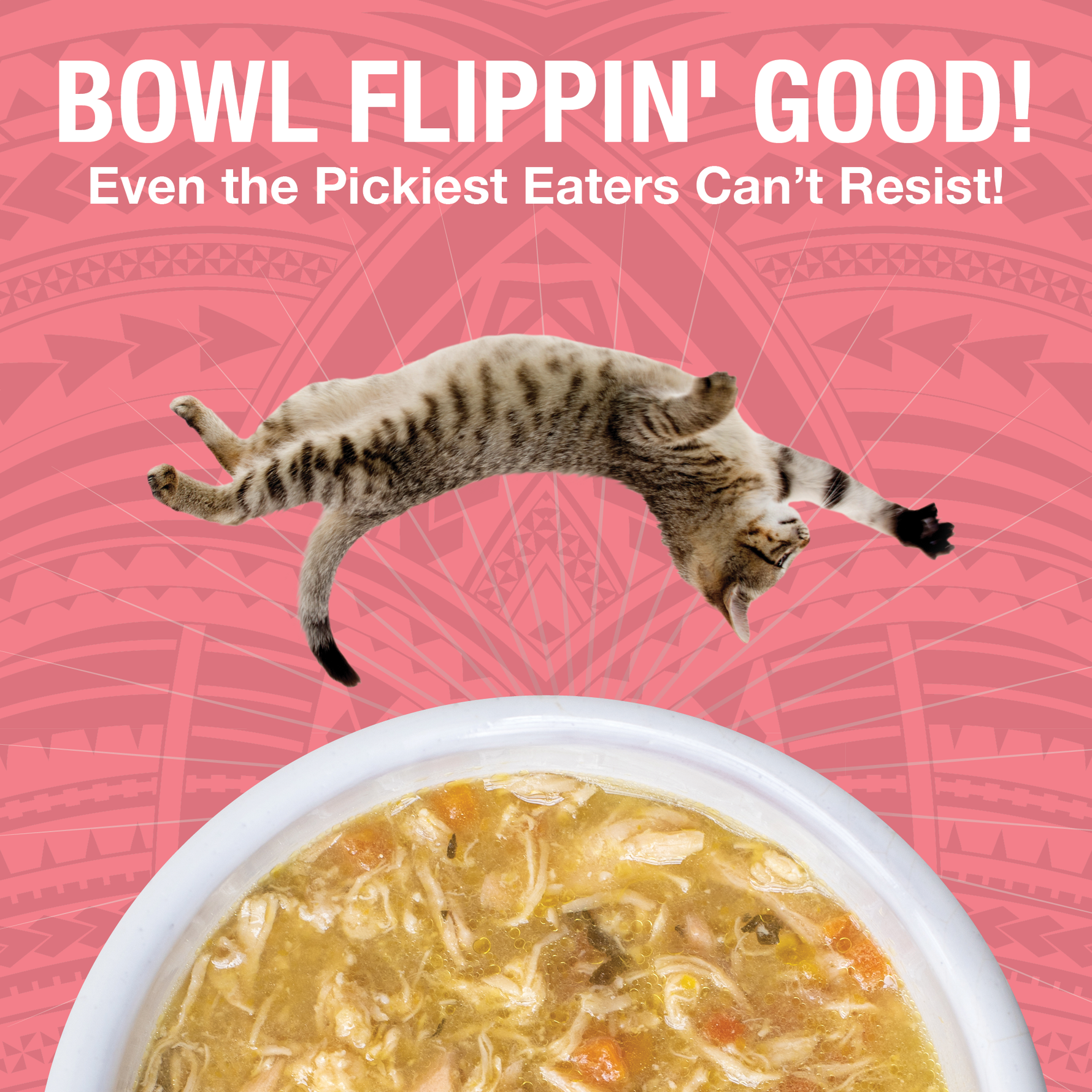 An image of a dog flipping over a bowl of KOHA PUre Shreds food in a white bowl with the headling Bowl Flippin' Good Even the pickest eaters can't resist. 
