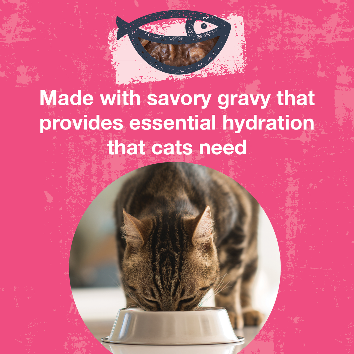Image of a cat eating out of a pet food bowl with copy that says made with savory gravy that provides essential hydration that cats need