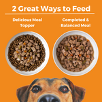 Graphic showing two bowls of dog food on an orange background with the text '2 Great Ways to Feed' and labels 'Delicious Meal Topper' for wet food on top of dry food and 'Completed & Balanced Meal.' for the wet food alone. A close-up of a dog's face appears along the bottom.