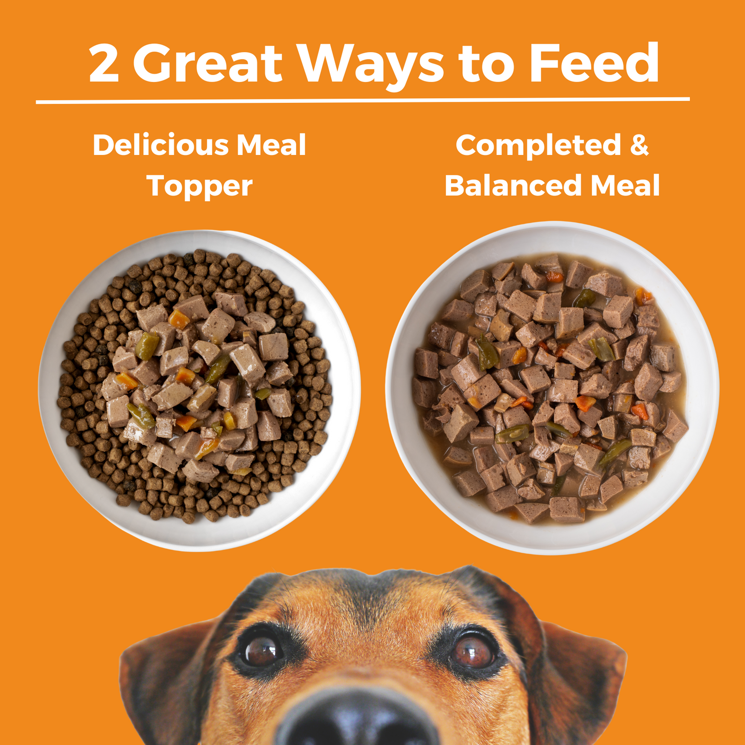 Graphic showing two bowls of dog food on an orange background with the text '2 Great Ways to Feed' and labels 'Delicious Meal Topper' for wet food on top of dry food and 'Completed & Balanced Meal.' for the wet food alone. A close-up of a dog's face appears along the bottom.