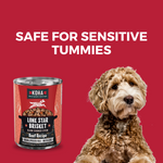 KOHA Lone Star Brisket Beef Recipe can with a dog on a red background