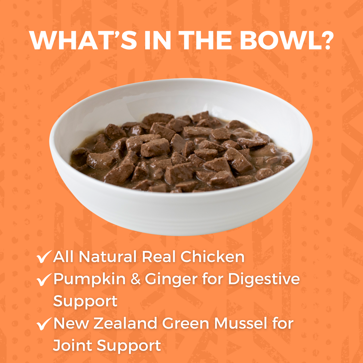 White bowl of KOHA stew that says What's in the Bowl? And the bullets say All natural chicken, pumpkin and ginger for digestive support and new zealand green mussel for join support. 