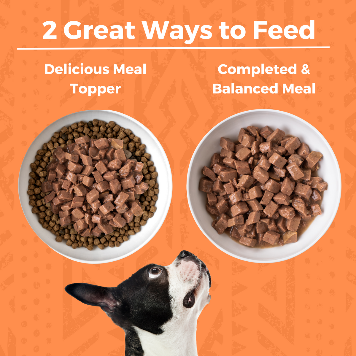 Two bowls of dog food with a dog looking up,  with copy that says 2 Great Ways to Feed. The first bowl shows wet stew on top of kibble in the bowl with text that says Delicious Meal topper. The second bowl is just the wet food and says complete & balanced meal.