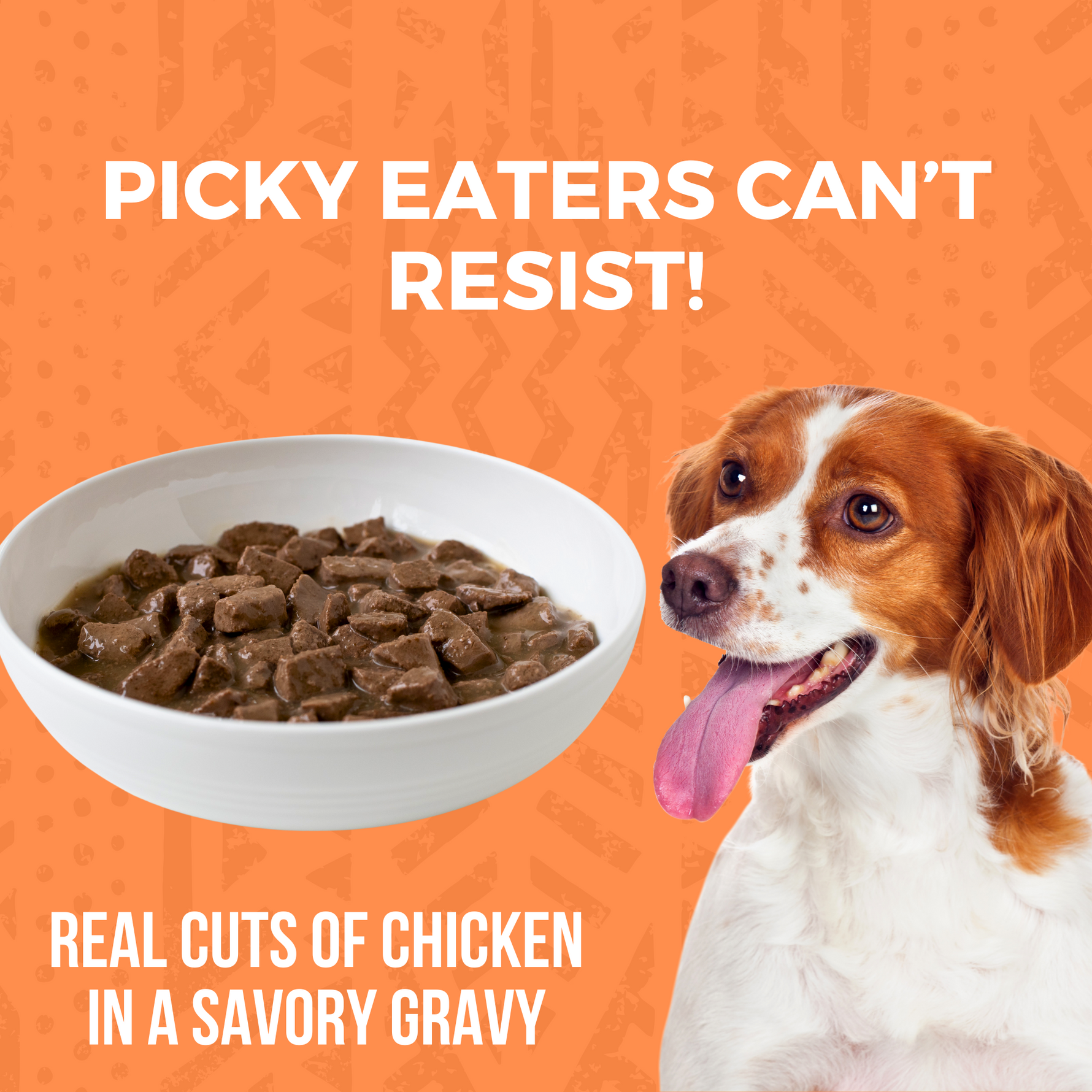 Bowl of KOHA stew in a white bowl with a dog that says picky eaters can't resist real cuts of chicken in a savory gravy