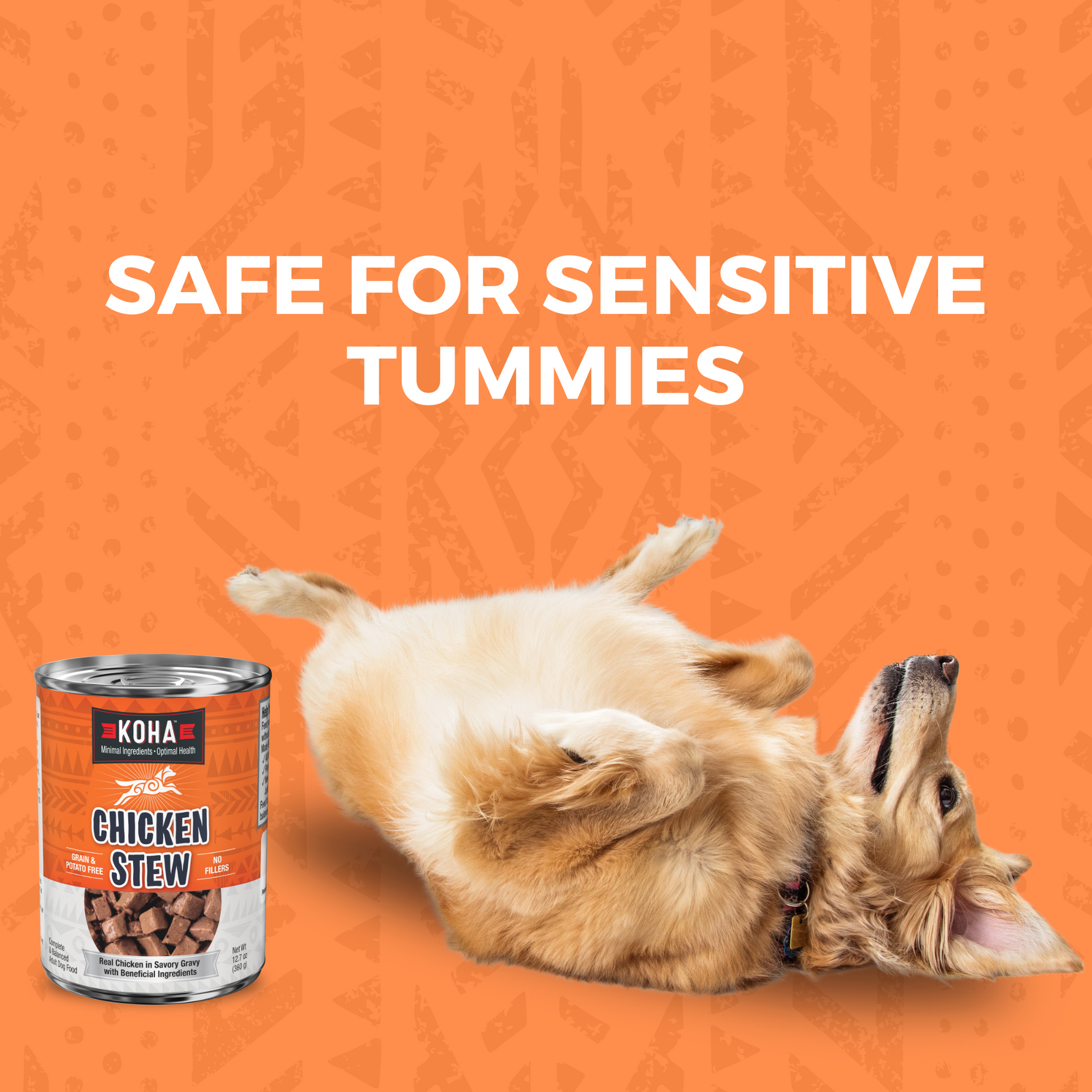 KOHA chicken food can next to a dog laying on its back with text that says Safe for sensitive Tummies. 
