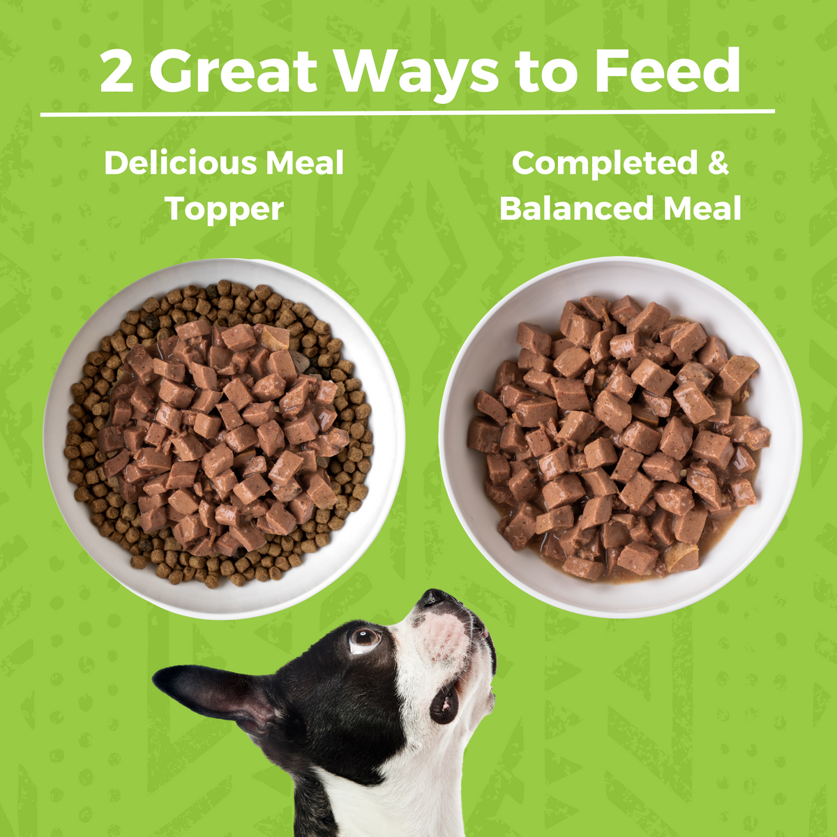 Two bowls of dog food with a dog looking up, on a green background with copy that says 2 Great Ways to Feed. The first bowl shows wet stew on top of kibble in the bowl with text that says Delicious Meal topper. The second bowl is just the wet food and says complete & balanced meal.