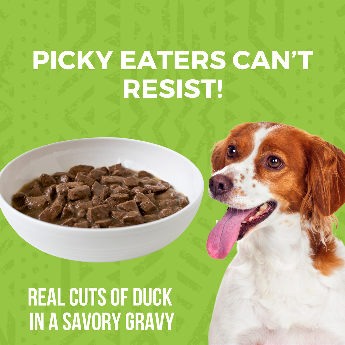 Bowl of KOHA stew in a white bowl with a dog that says picky eaters can't resist real cuts of duck in a savory gravy