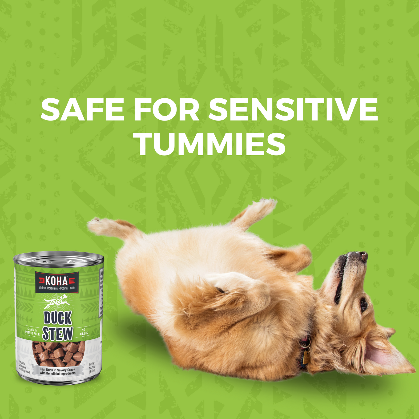 KOHA duck food can next to a dog laying on its back with text that says Safe for sensitive Tummies. 
