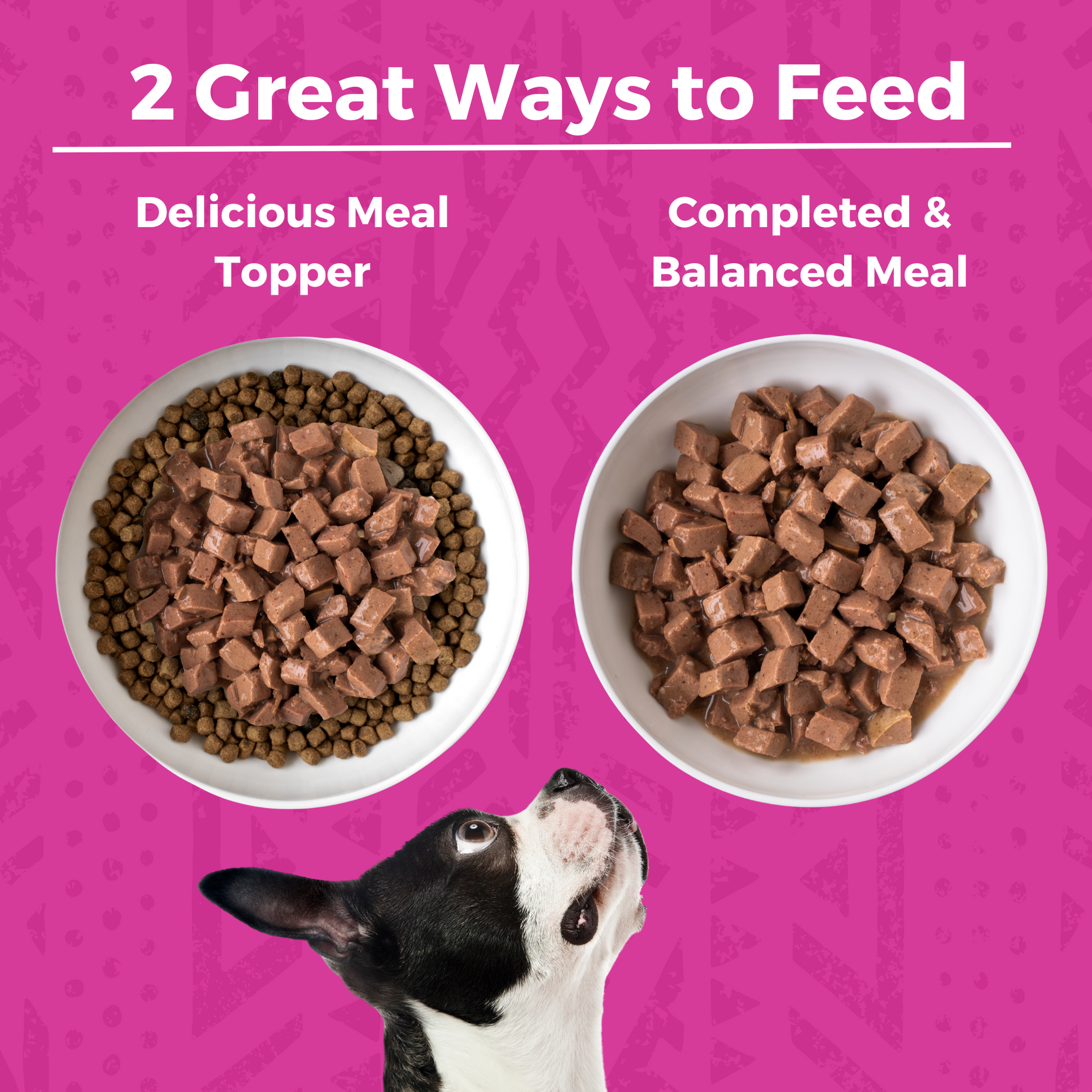 Two bowls of dog food with a dog looking up. Heading says 2 Great Ways to Feed.  One bowl is filled with wet stew over kibble in the bowl and has the title Delicious Meal Topper. The other is a bowl of just the stew with the total Complete and Balanced Meal. 