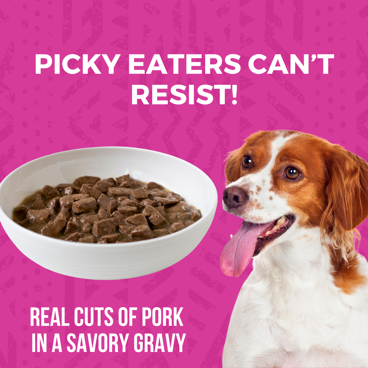 Image of dog next to a bowl of KOHA stew and says Picky Eaters Can't Resist and Real cuts of pork in a savory gravy