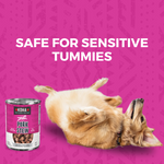 Minimal Ingredient Pork Stew for Dogs