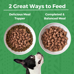 Two bowls of dog food on a green background with the text '2 Great Ways to Feed' and labels 'Delicious Meal Topper' showing wet stew on dry kibble and 'Completed & Balanced Meal.' showing a bowl of wet stew. A black-and-white dog head appears at the bottom.