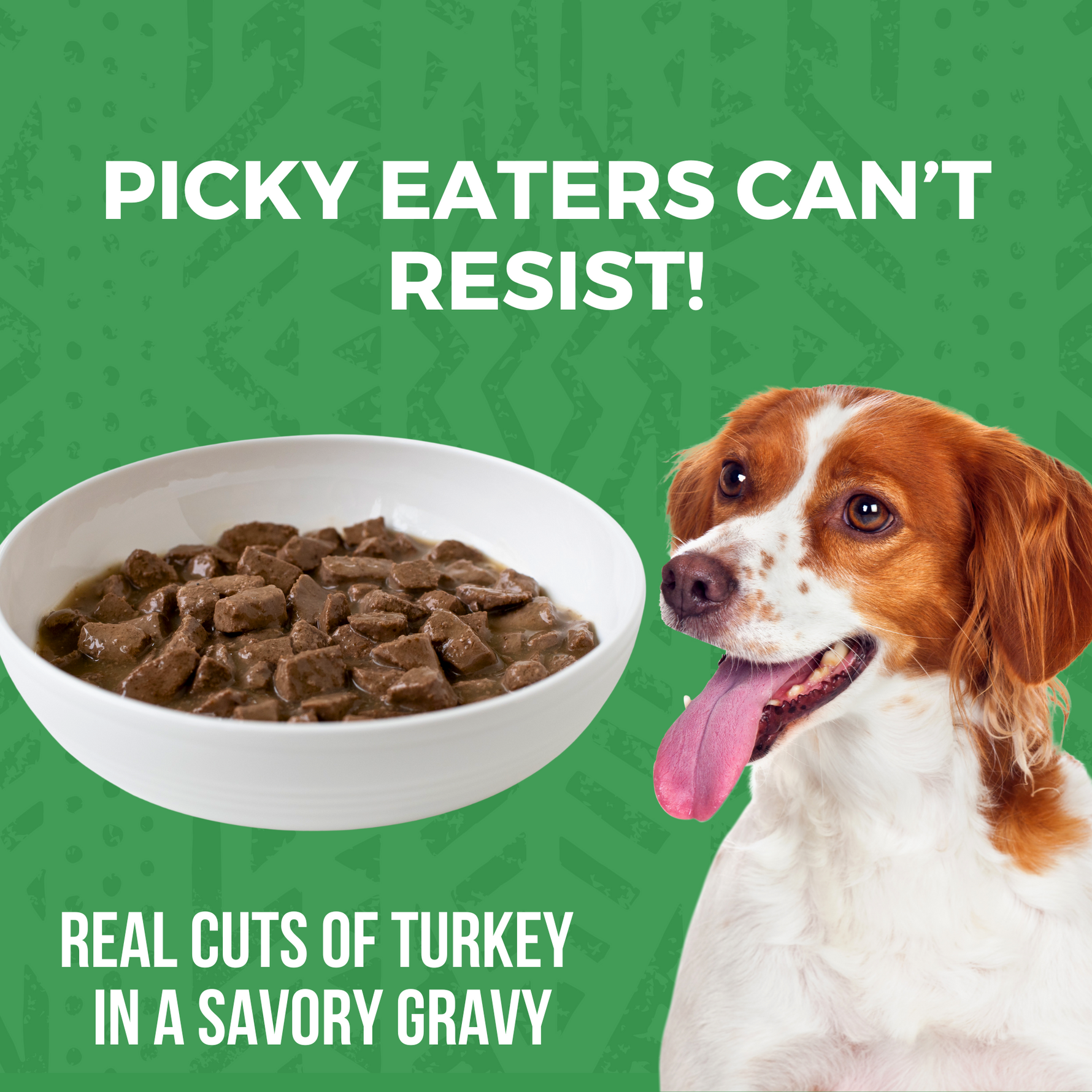 Dog next to a bowl of dog food with text that says Picky Eaters Can't Resist and Real Cuts of Turkey in A Savory Gravy.