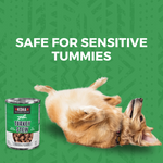 KOHA Turkey Stew can with a dog on a green background, text 'Safe for Sensitive Tummies'.