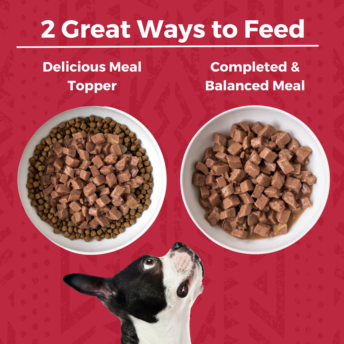 Two bowls of dog food with a dog looking up,  with copy that says 2 Great Ways to Feed. The first bowl shows wet stew on top of kibble in the bowl with text that says Delicious Meal topper. The second bowl is just the wet food and says complete & balanced meal.