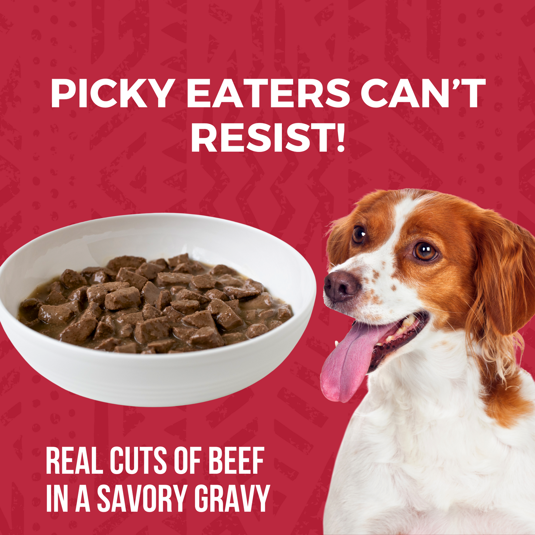 Bowl of KOHA stew in a white bowl with a dog that says picky eaters can't resist real cuts of beef in a savory gravy