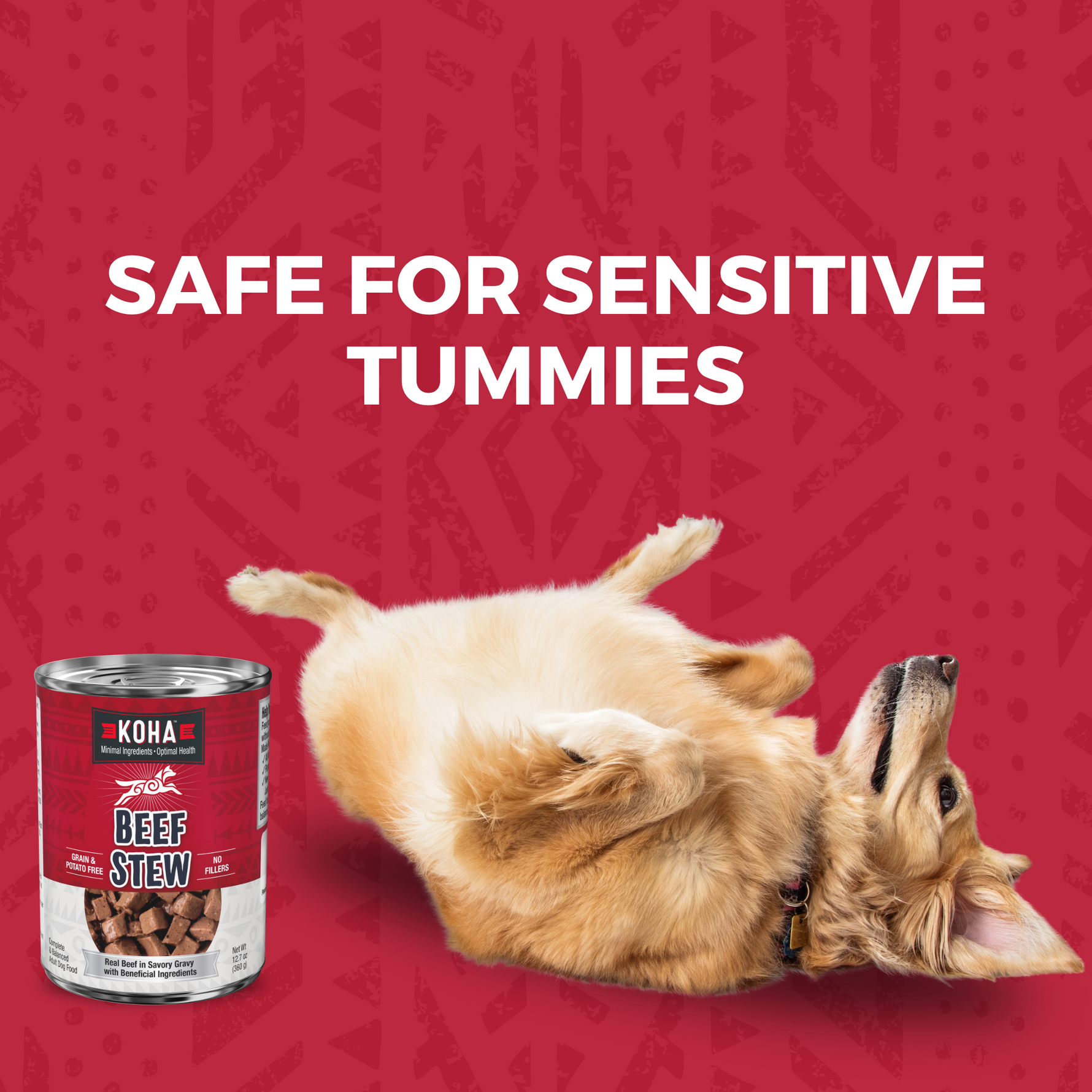 KOHA beef food can next to a dog laying on its back with text that says Safe for sensitive Tummies. 
