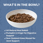 A white bowl filled with KOHA stew on a blue background with text reading 'WHAT'S IN THE BOWL?' and bullet points All natural real rabbit, pumpkin and ginger for digestive support, and New Zealand green mussel for joint support.