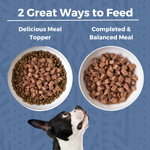 Two bowls of dog food on a green background with the text '2 Great Ways to Feed' and labels 'Delicious Meal Topper' showing wet stew on dry kibble and 'Completed & Balanced Meal.' showing a bowl of wet stew. A black-and-white dog head appears at the bottom.