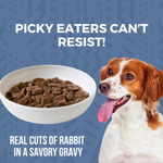 Dog next to a bowl of KOHA stew with text that says Picky Eaters Can't Resist and Real Cuts of Rabbit in a Savory Gravy