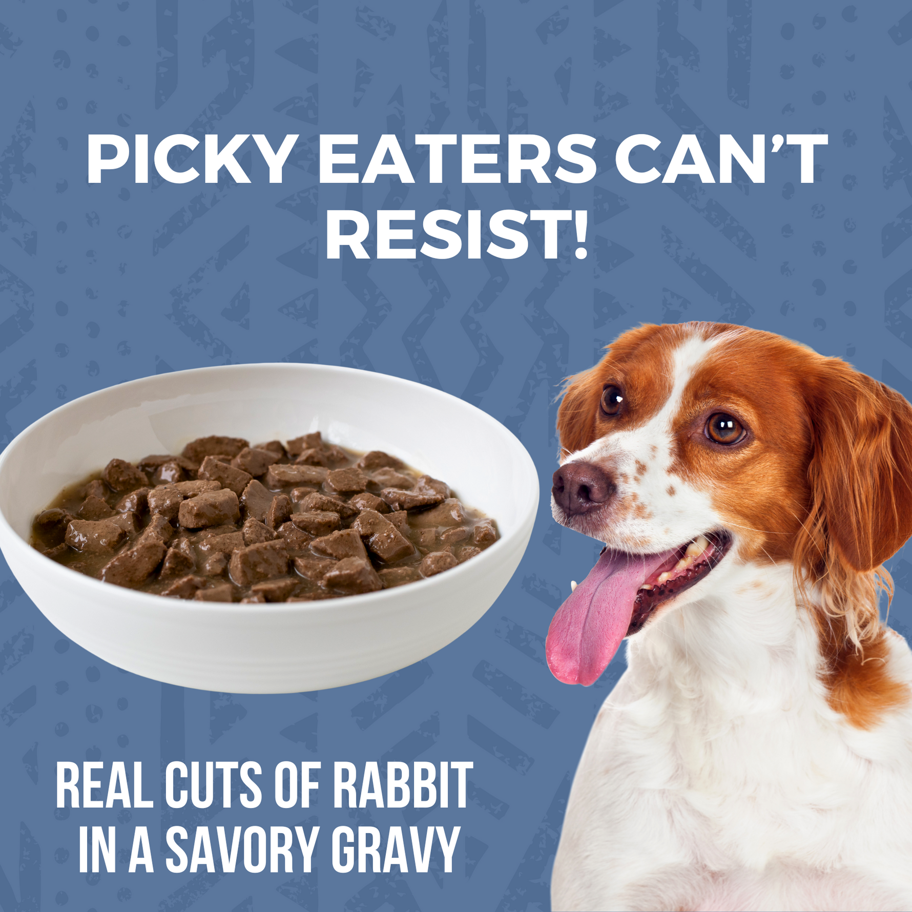 Dog next to a bowl of KOHA stew with text that says Picky Eaters Can't Resist and Real Cuts of Rabbit in a Savory Gravy